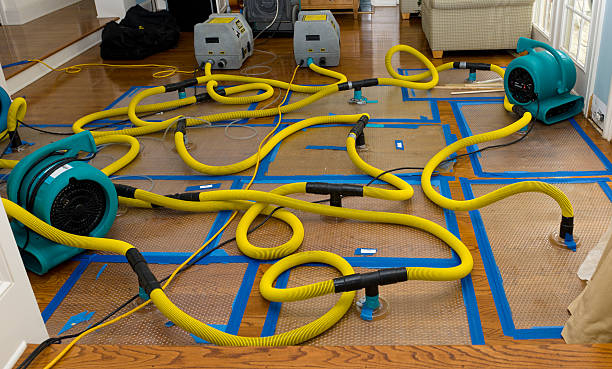 Professional Water Extraction technician working in White Rock, SC